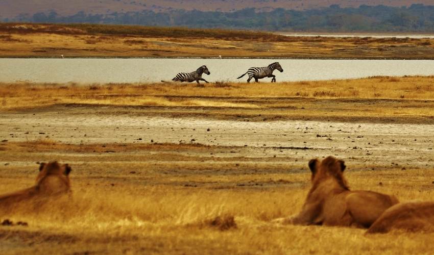 VIAJE AVENTURA EN TANZANIA CON ZANZIBAR (EN 4X4)  DESDE CANCÚN